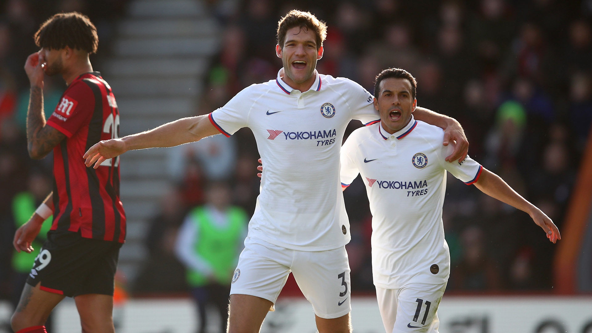 中至关重要 中至关重要